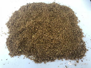 魚價低迷期如何降低餌料成本？養殖戶必看的實用策略